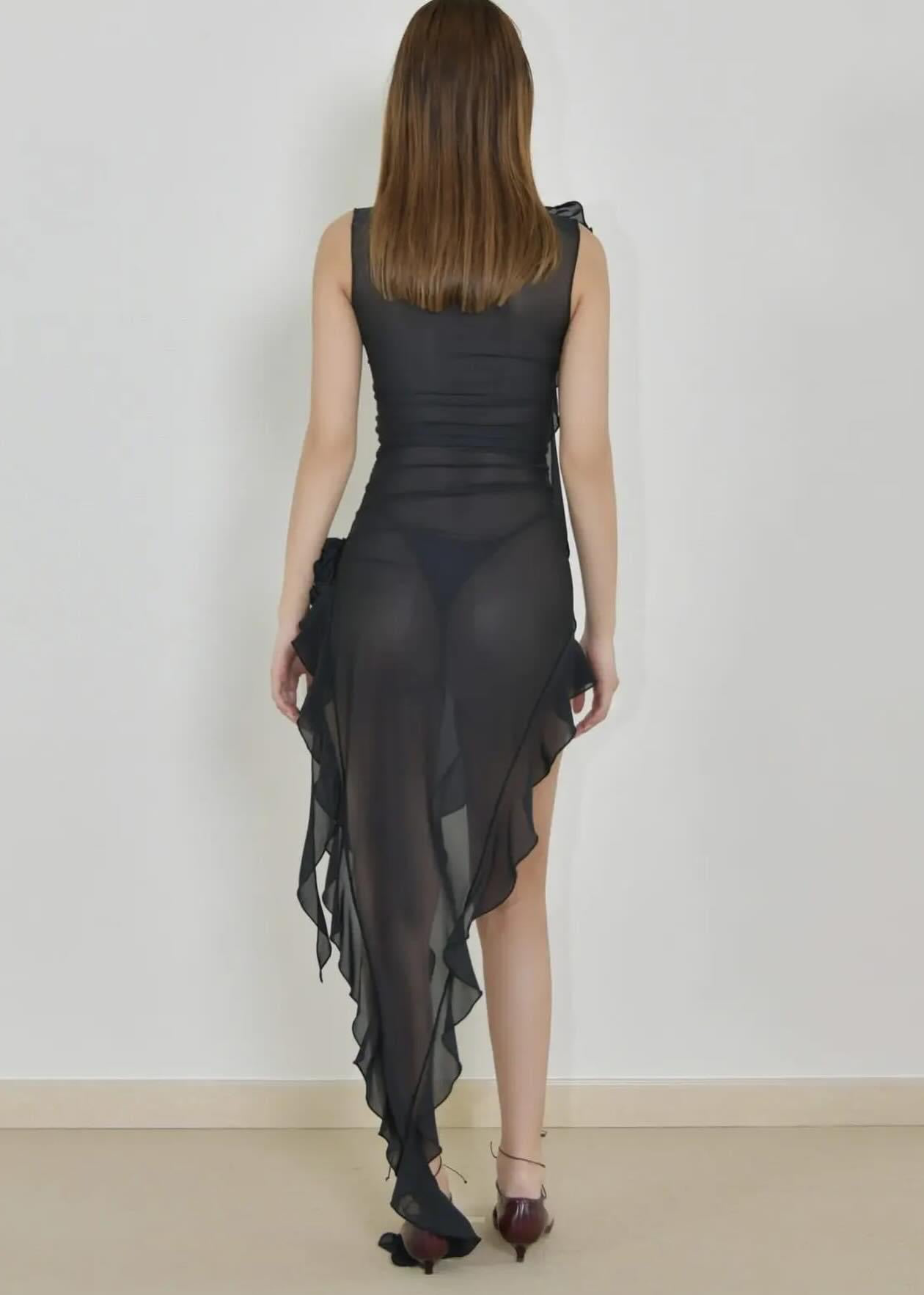 Kloe mesh see through dress